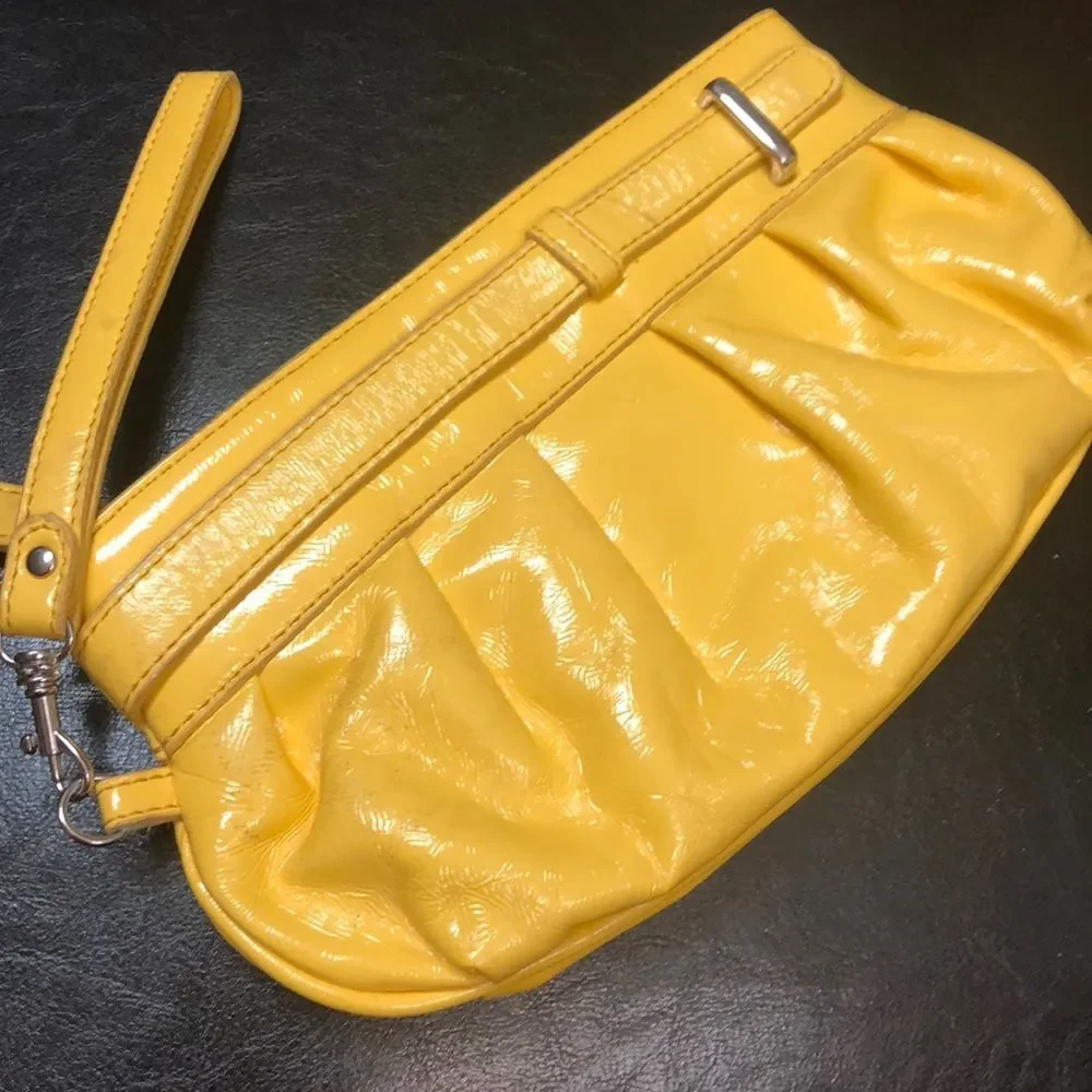 Coldwater Creek Clutch